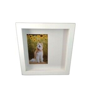 Pet Memorial Shadowbox Display White Frame  9” x 9"